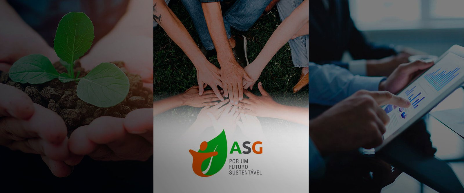 Environmental, social and governance